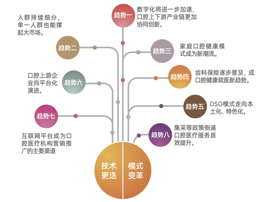 揭秘2023年全口口腔医院排名第一的背后，专业、服务与技术的完美融合