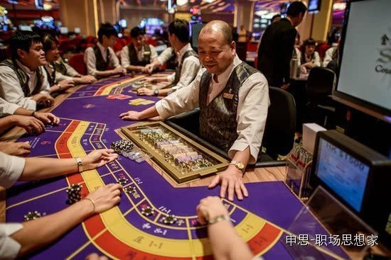 澳门天天彩查询，揭秘澳门彩票的魅力与风险