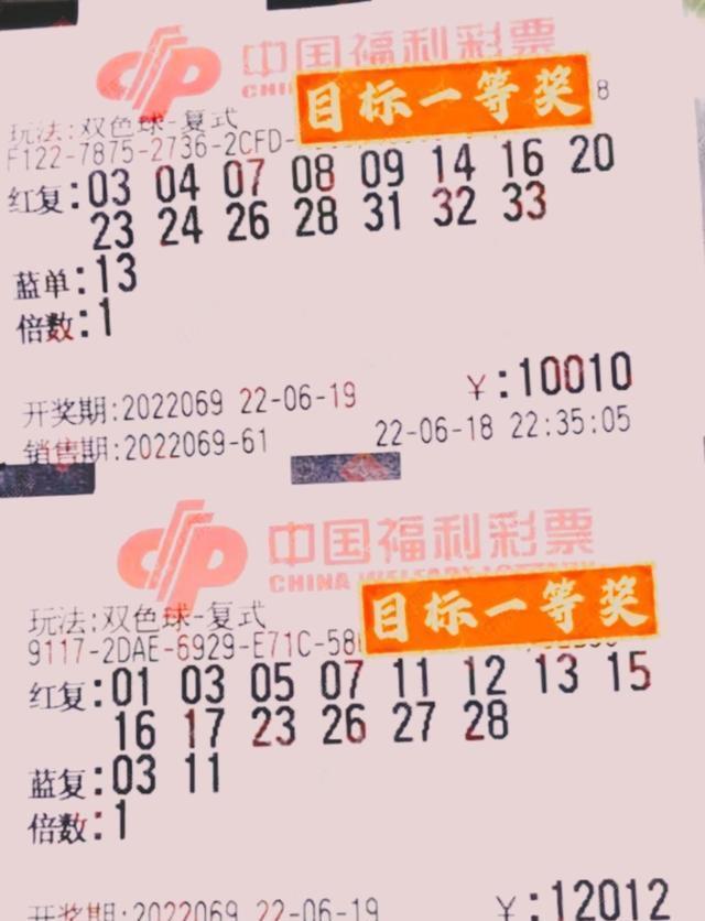 彩票计算公式准确大全，揭秘中奖秘籍