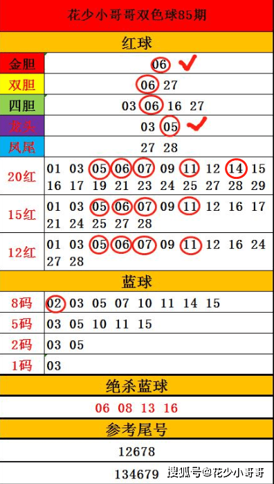 探索双色球，最新开奖号码走势图深度解析