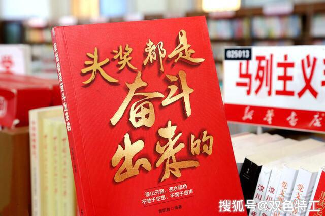 探索双色球一等奖的奥秘，全面解析双色球一等奖明细查询