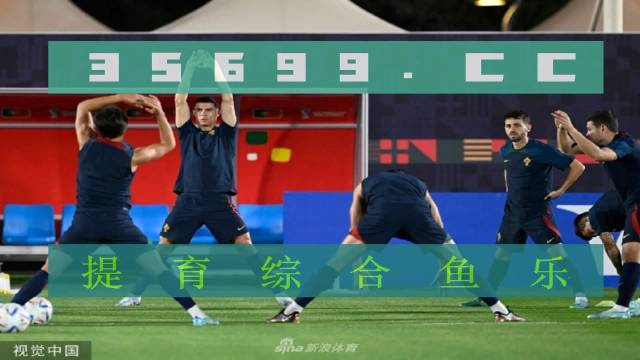 雨燕直播，免费体育直播的魅力与挑战
