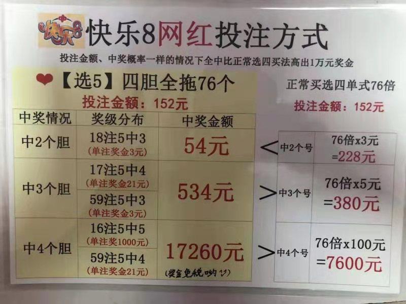 双色球胆拖投注策略，利用胆拖计算器优化您的彩票投资