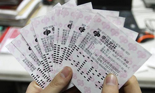 彩民之家高手论坛，汇聚智慧，共探彩票奥秘
