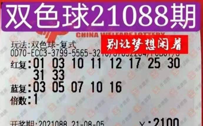 双色球开奖结果查询与中奖助手，智慧玩彩的得力伙伴