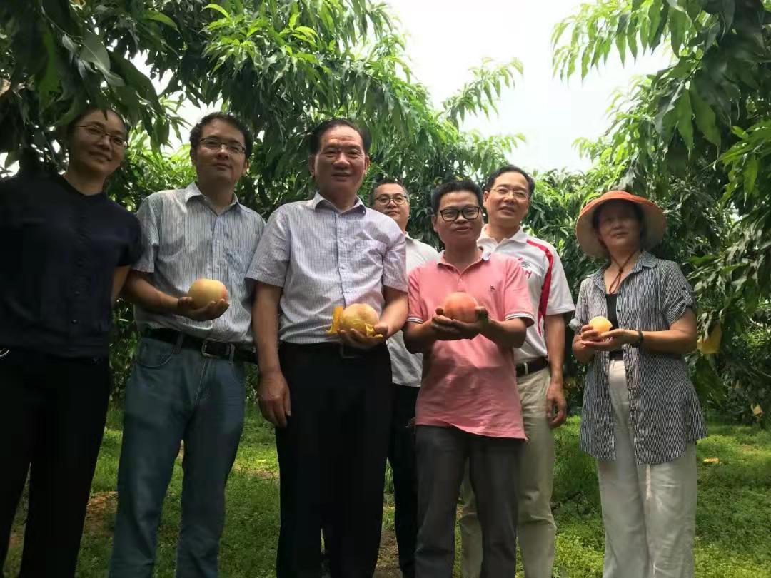 学校招聘 第370页
