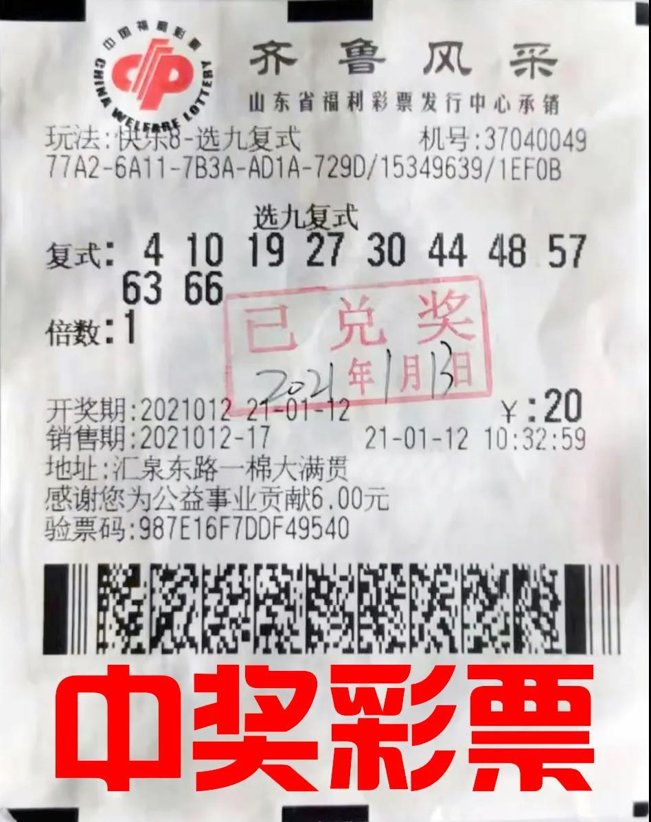 复式投注的魅力，揭秘双色球10个号码复式投注的金额计算