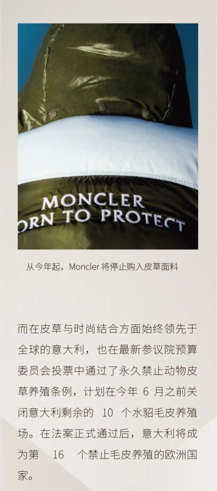 澳门一肖中特，精准预测的奥秘澳门一肖一码100%澳门码