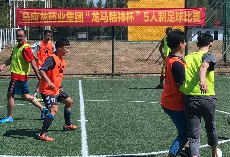 足球激情，在线直播免费看——解锁足球迷的全新观赛体验