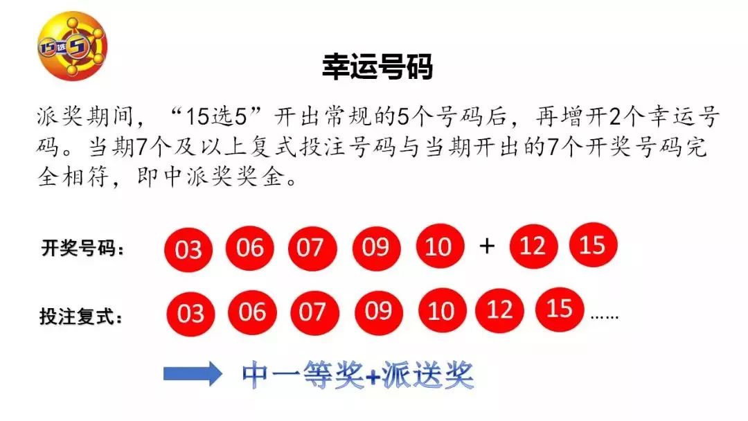 探索中国福利彩票35选7，中奖号码的奥秘与影响