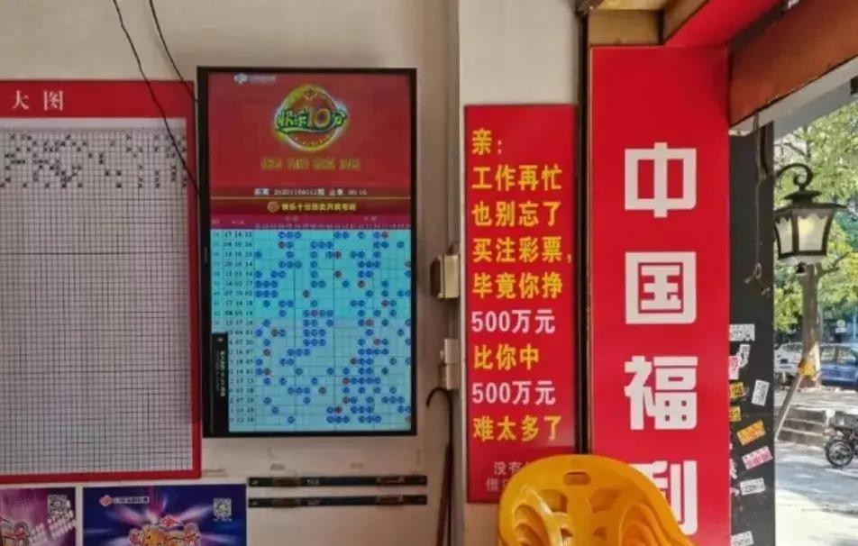 福建体彩app，便捷购彩新体验，公益与娱乐的完美融合