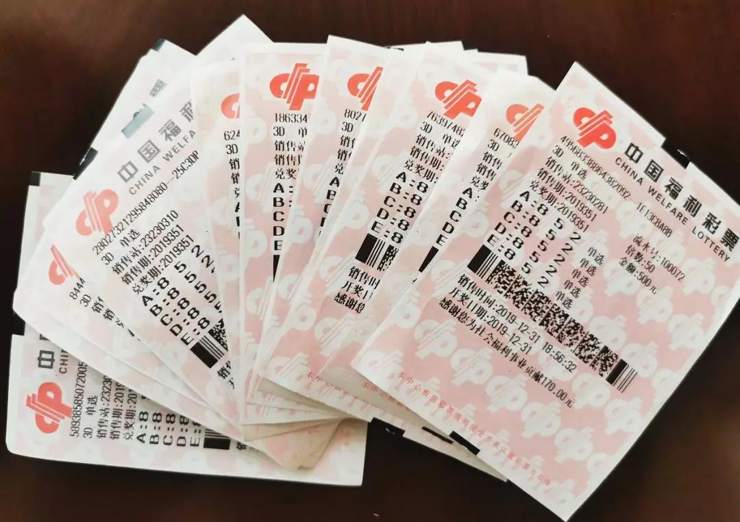 揭秘3D历史开奖号码，探寻数字背后的奥秘
