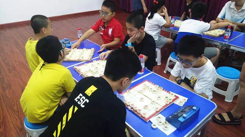 探索双色球全部走势图2，浙江风采网中的数字奥秘