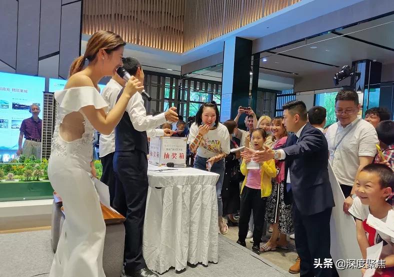 彩票开奖结果查询历史记录，解锁幸运的秘密