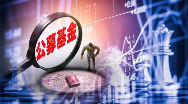 2024新澳免费资料晒马汇，探索数字时代的公益新风尚