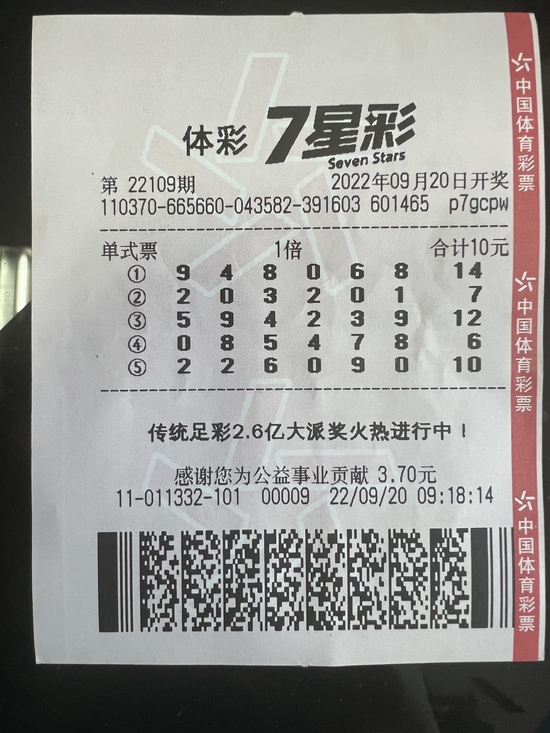 回溯2004，体育彩票大乐透开奖号码的珍贵记忆与影响