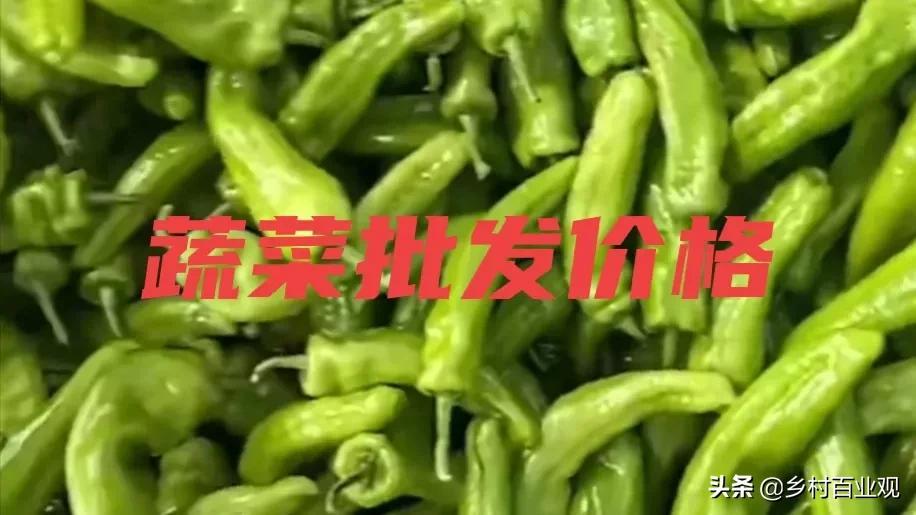 河北二选五走势图，数字背后的奥秘与趋势分析