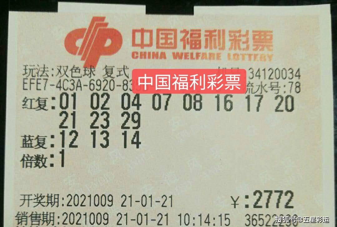 探寻双色球的历史开奖号，一段数字与梦想的交织之旅