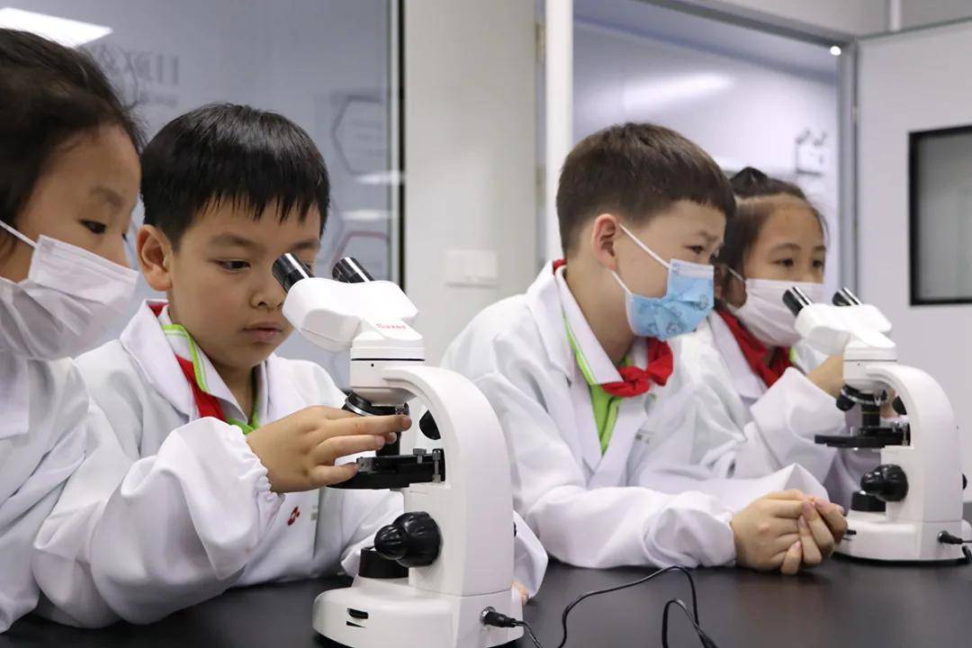 探索三排列开奖结果的奥秘与乐趣