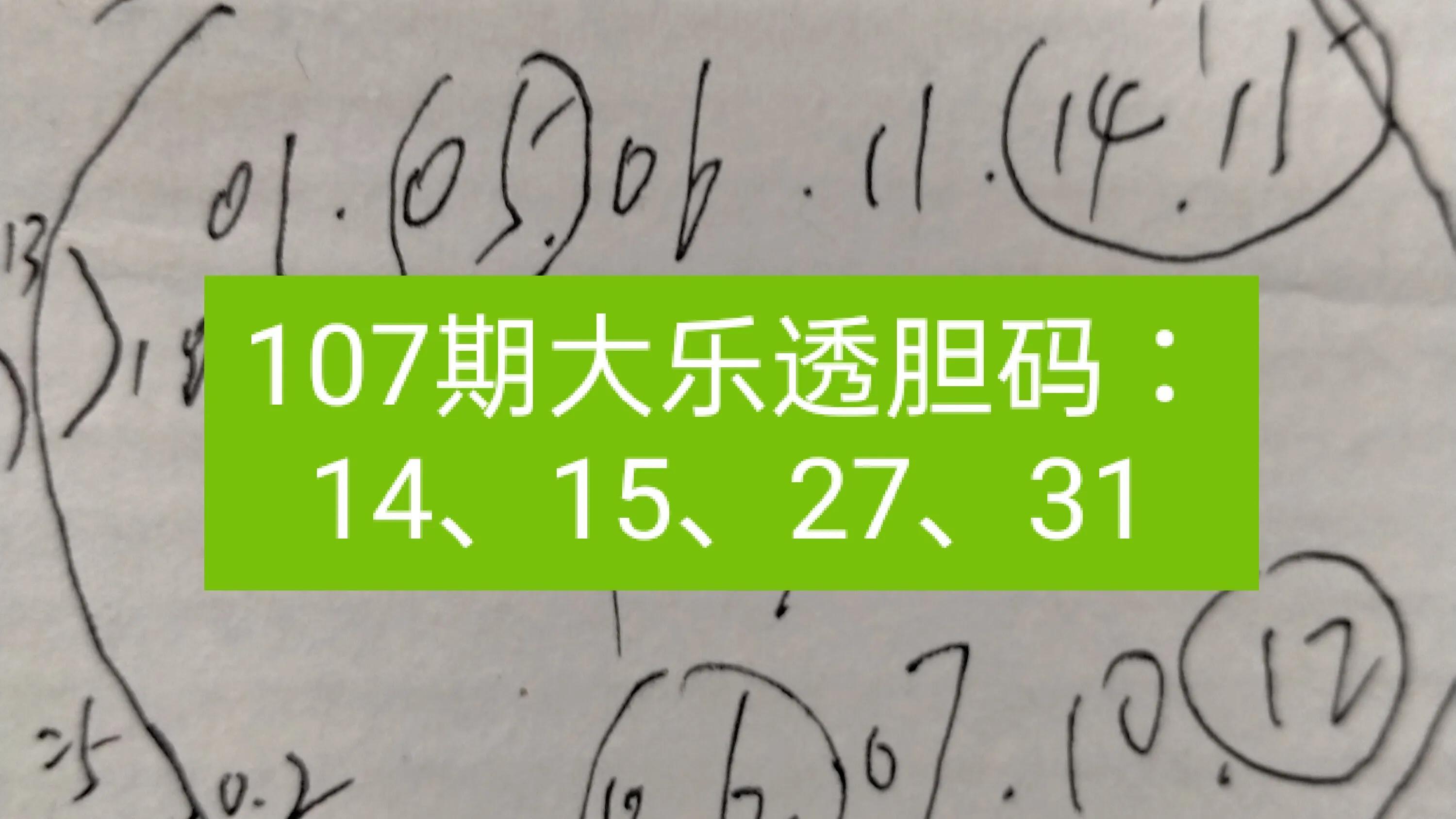 学校招聘 第331页