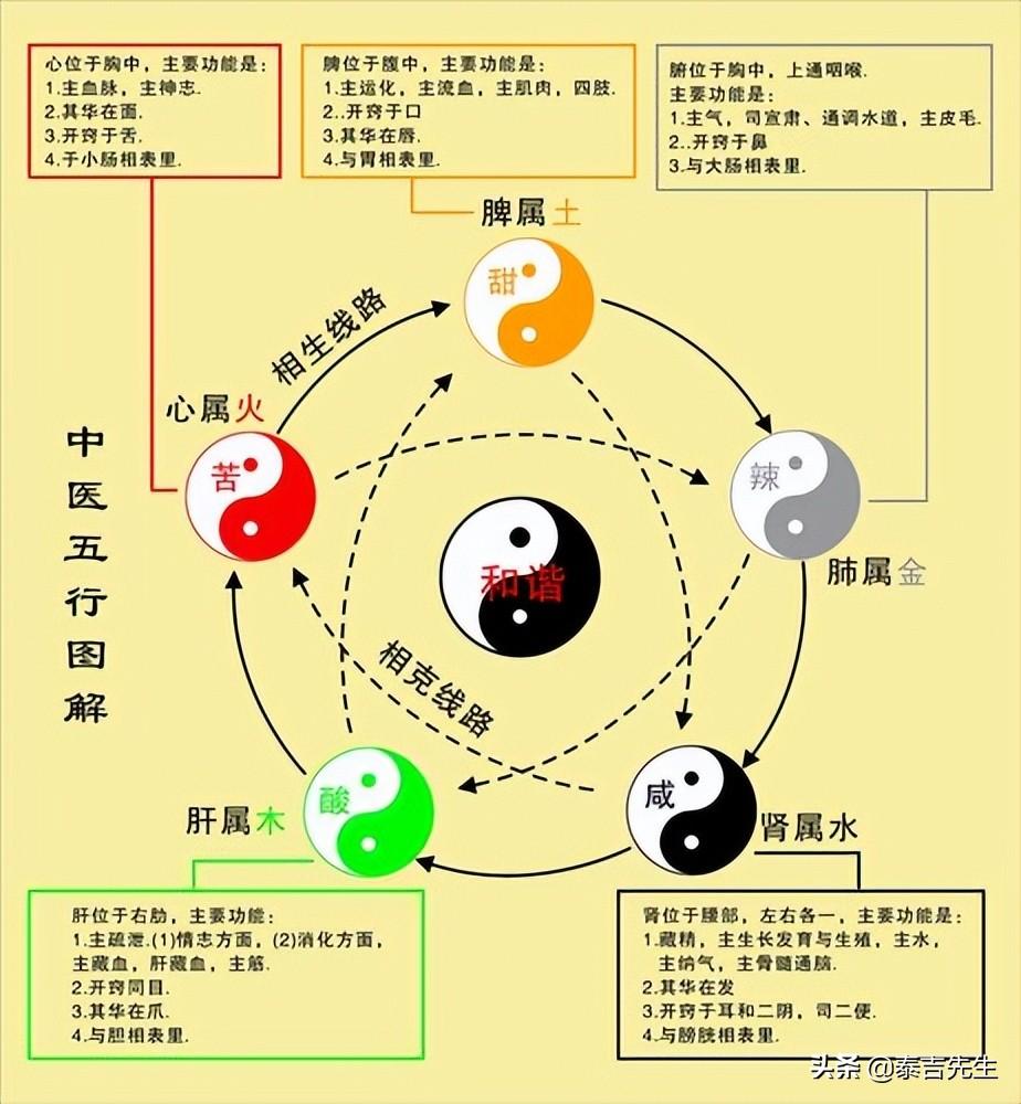探索未来趋势，最新版3D八卦图表的创新应用