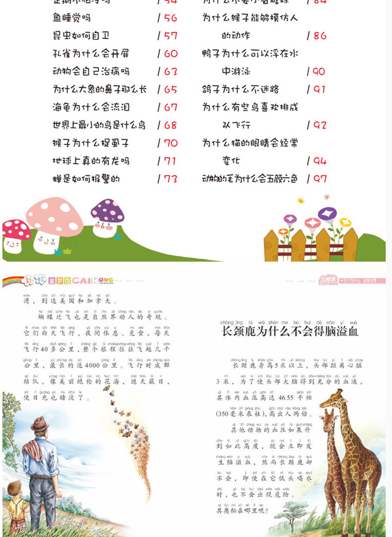 3-7岁儿童谜语大全，开启智慧之门的奇妙钥匙