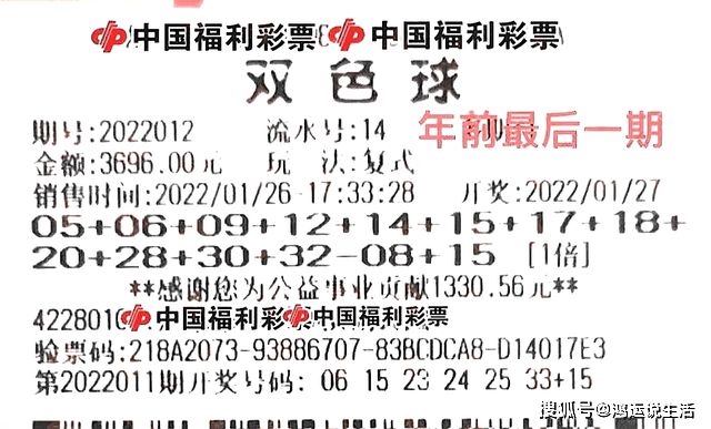 真实票样揭秘，双色球一等奖背后的幸运奇迹
