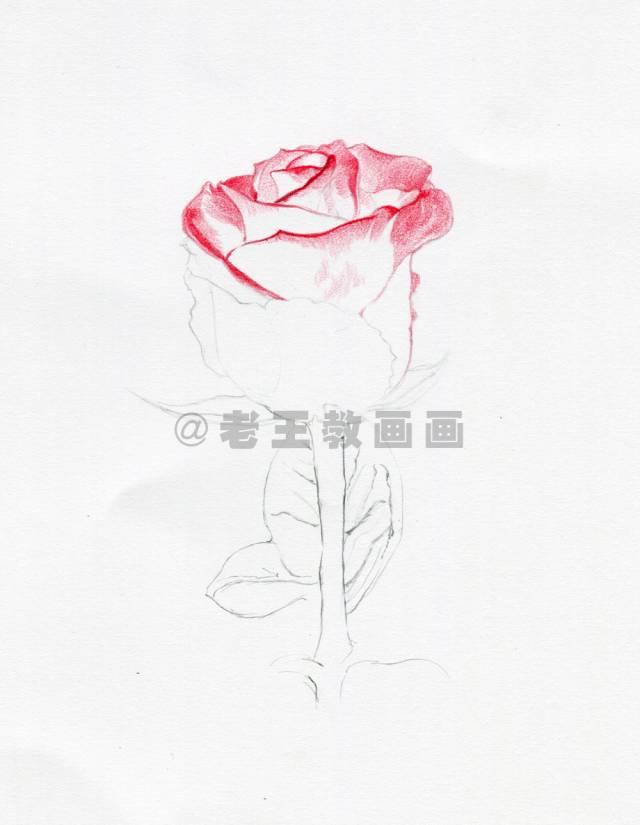 探索P3走势图带连线专业版，解锁彩票分析新境界