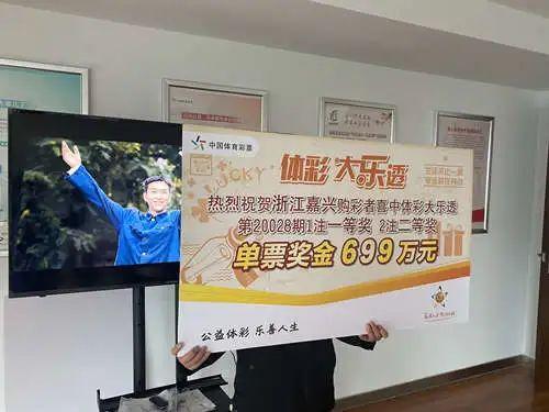 浙江体彩6+1历史开奖数据深度解析，揭秘数字背后的趋势与规律