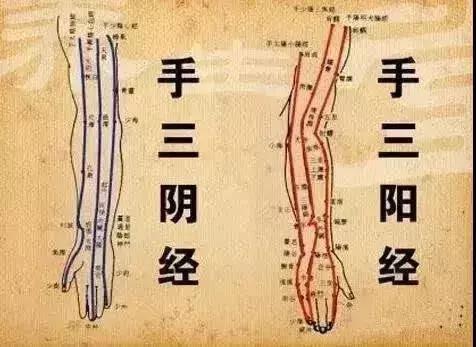 彩票快乐十二走势图，探寻数字背后的乐趣与智慧