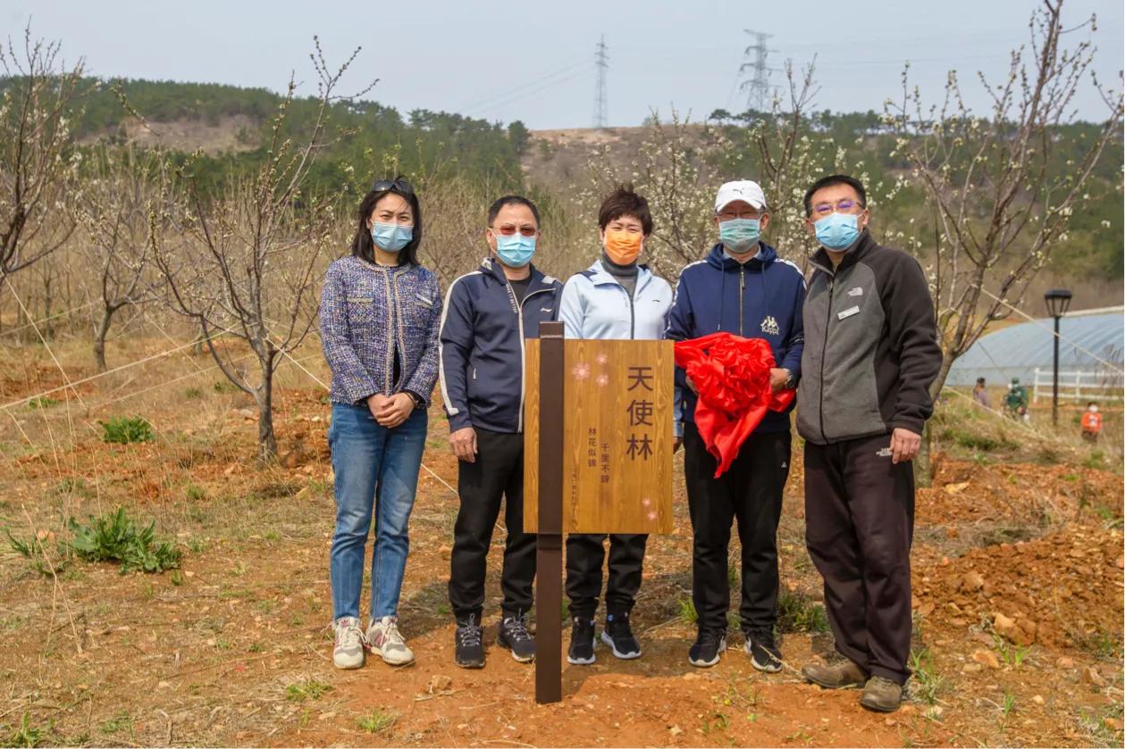 揭秘香港全港四肖八码精选资料，真相与风险并存香港4肖8码免费大公开
