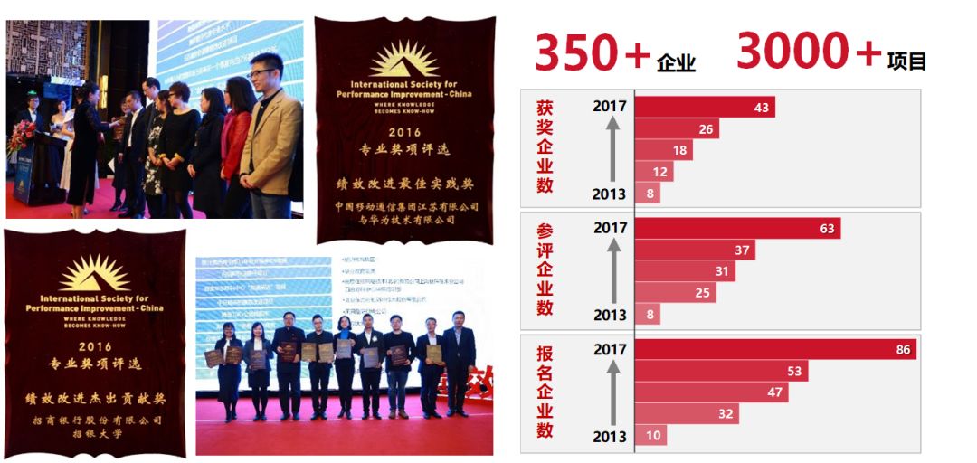 研究生看胆双胆实战案例解析，从理论到实践的跨越