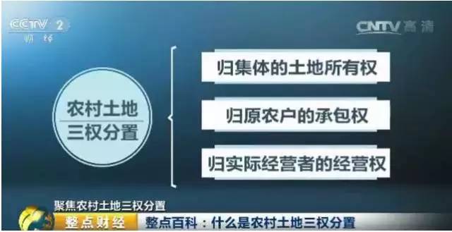 探索中国执行人员信息公开网，透明化与公信力的新篇章