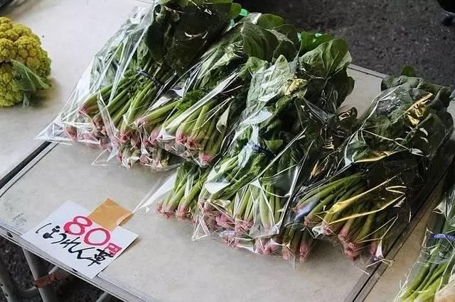农药价格信息网，农民的智慧之选与市场透明化的桥梁