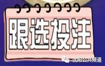 探索双色球
