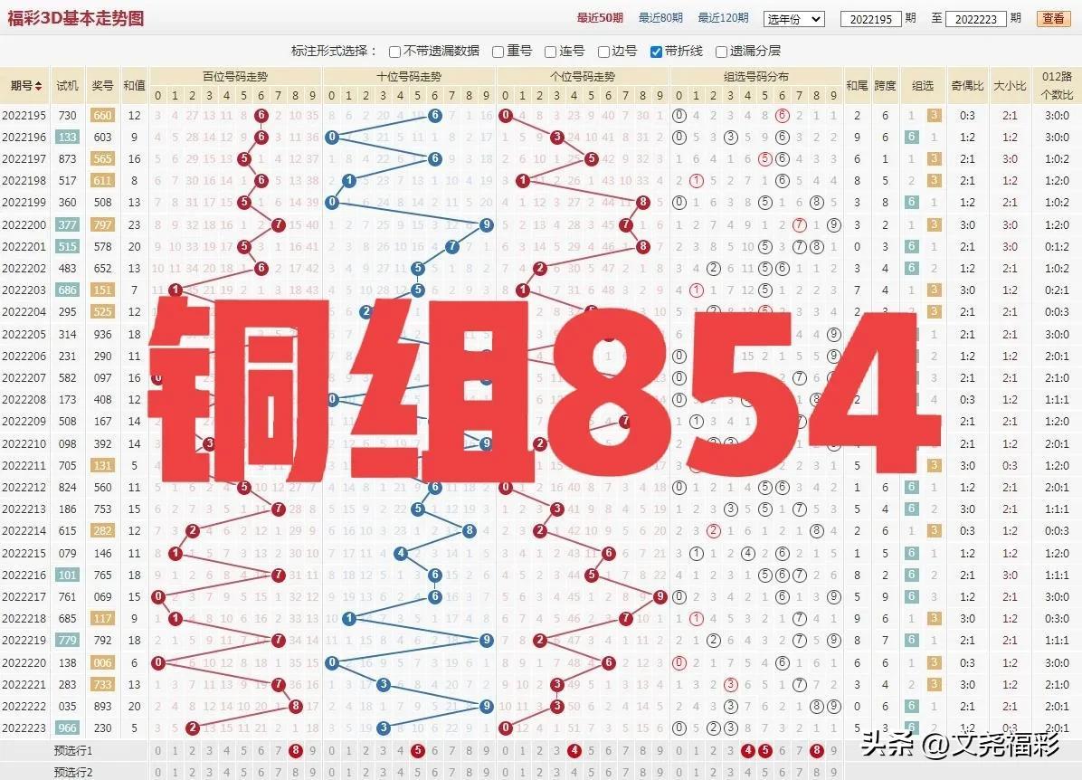 探索三的试机号金码对应码金码的奥秘