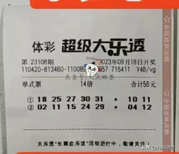探秘大乐透23108期，揭秘开奖结果查询表背后的故事