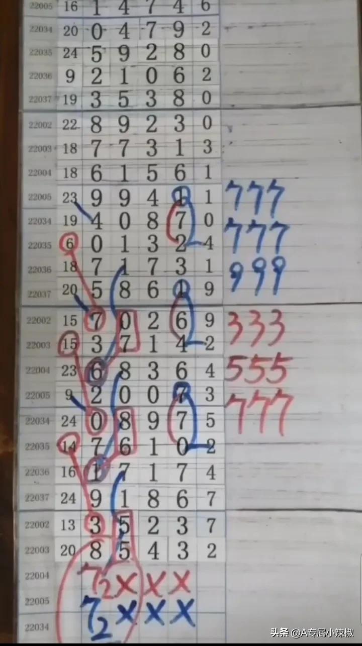 福建体彩31选7
