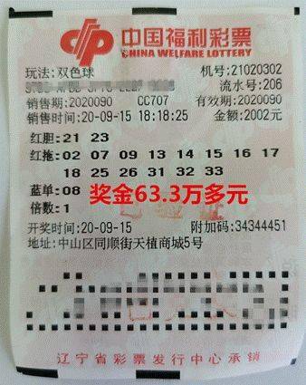 揭秘双色球中奖号码的核对技巧，从选号到对奖的全面指南