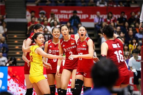 2023年中国女排赛程安排及展望，激情与荣耀的碰撞