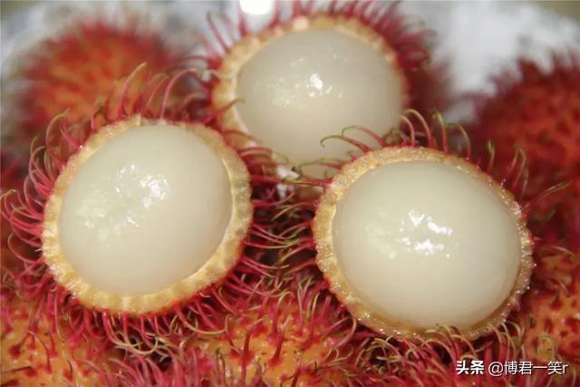 福彩三天计划胆必出，理性与智慧的双重考量