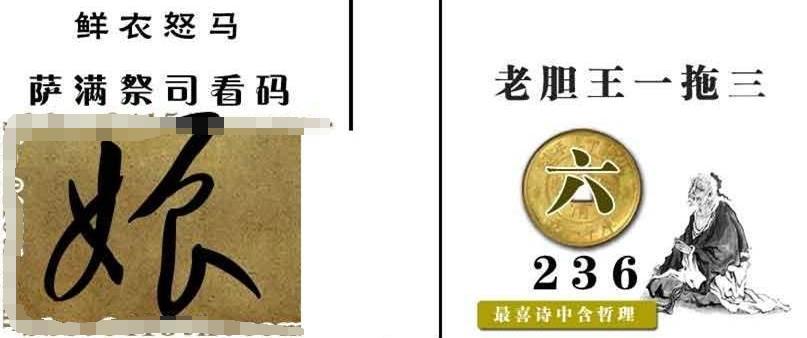 福彩图谜总汇全图今日揭秘，探索数字与幸运的奇妙之旅