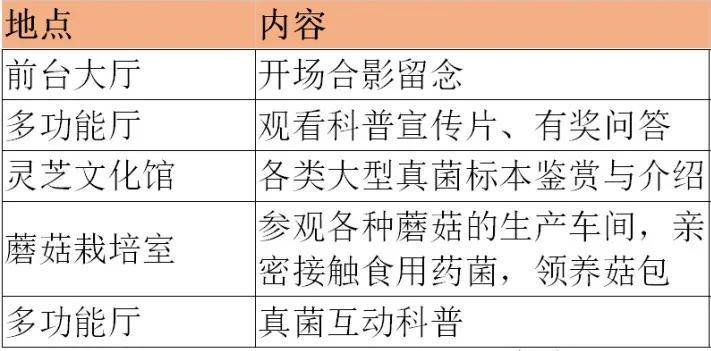 探秘老黄历号码吉凶预测，传统智慧与现代生活的奇妙交融