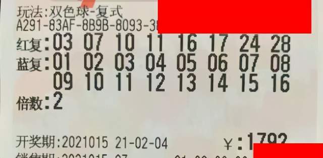 浙江十五选五今日开奖结果揭秘，数字背后的幸运与期待