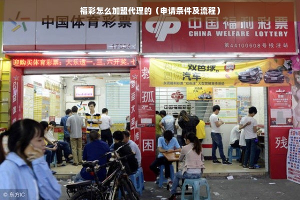 福利彩票加盟，梦想与现实的交汇点——解析加盟费用及考量因素