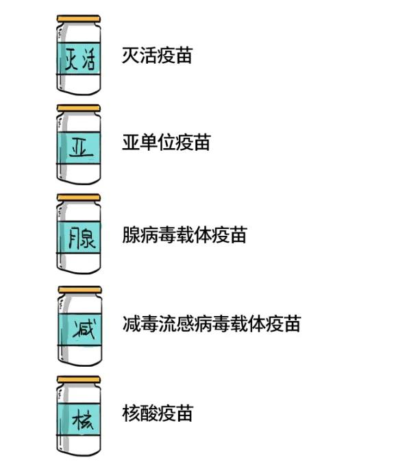 中国三种新冠疫苗比较，安全性、有效性与适用性分析