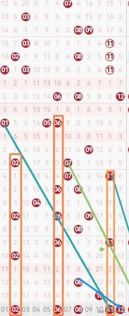 体彩大乐透，深度解析与专家预测策略