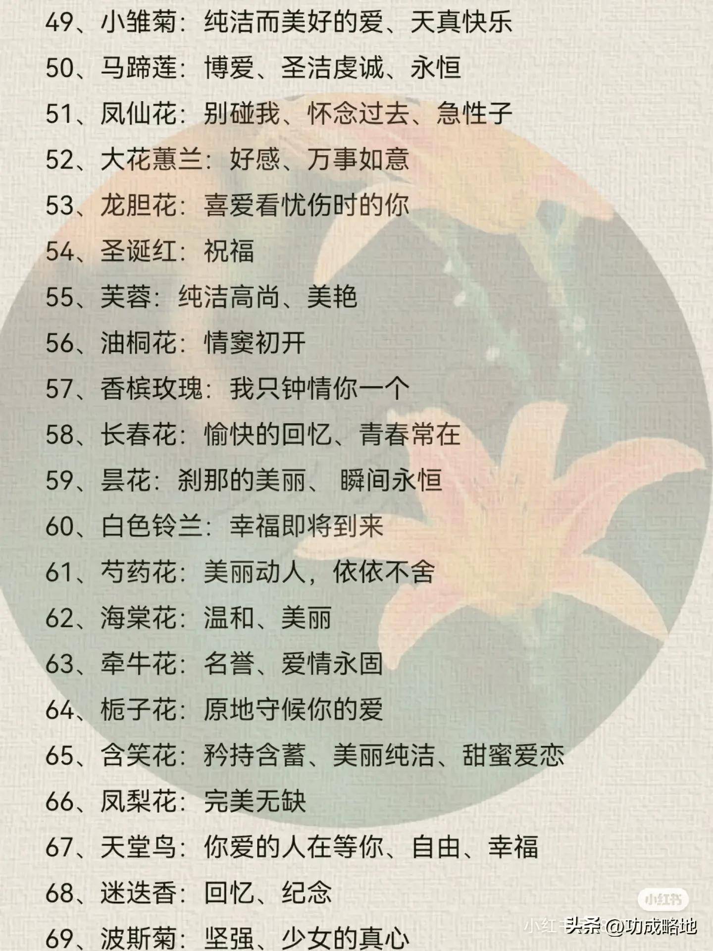 数字1至100送花的含义，爱的细腻表达与情感传递