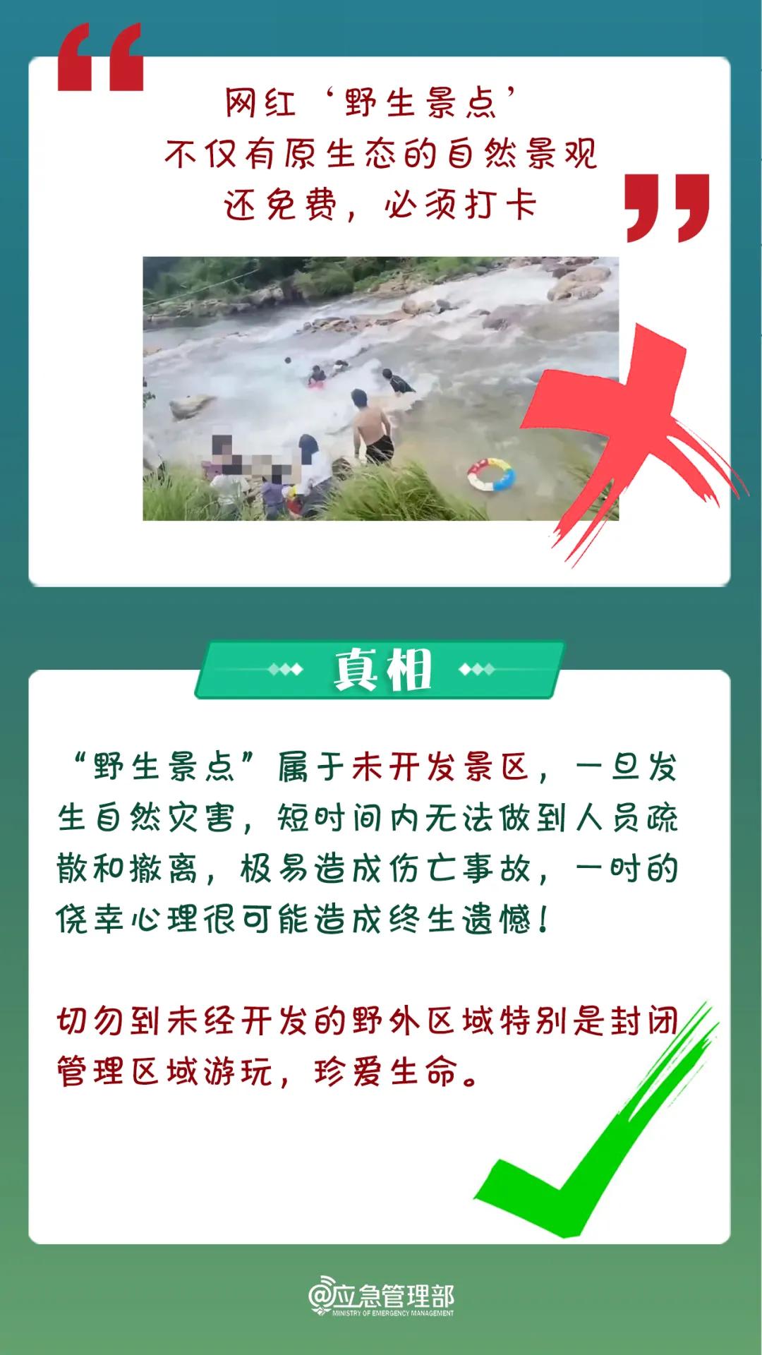 管家婆一码，揭秘精准预测的真相与风险