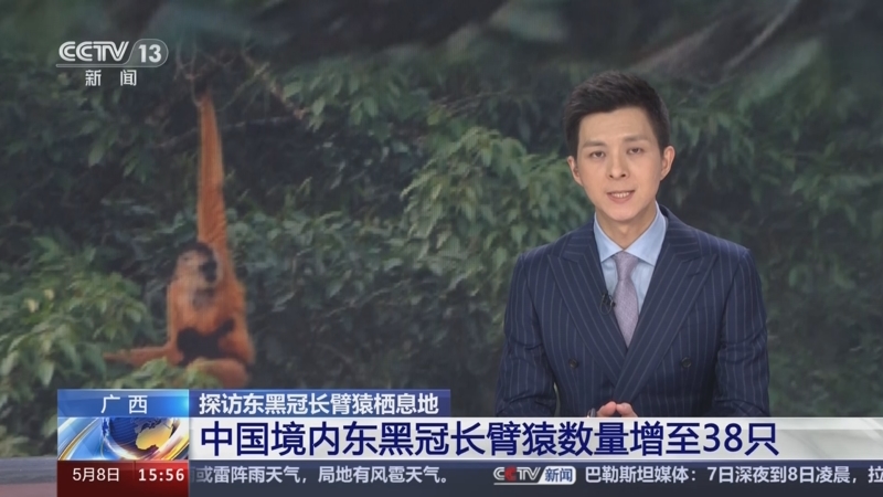 2035年新奥历史开奖记录，香港的数字奇迹与未来展望2025新奥历史开奖结果查询
